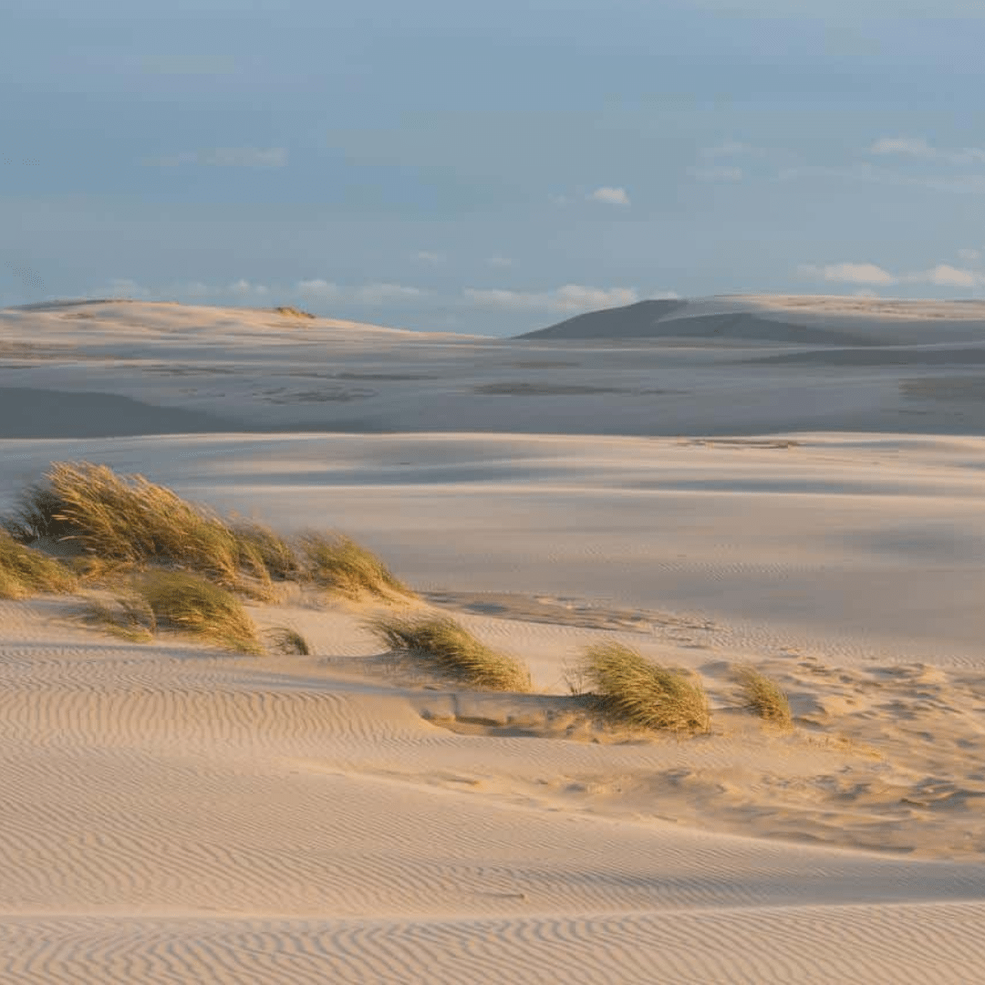 YOGA OG GOURMET WEEKEND 27-29. MARTS 2026